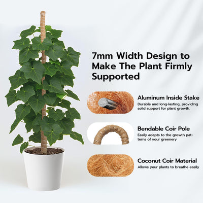 Poste musgo 47pulg soporte para Monstera y plantas trepadoras