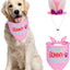 Bandana Pascua perro con sombrero conejo rosa