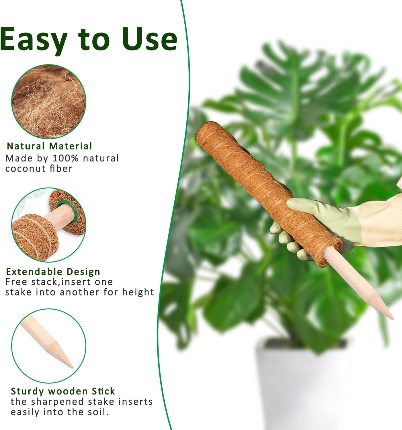 4 Soportes Monstera 17pulg Poste Musgo Apilable