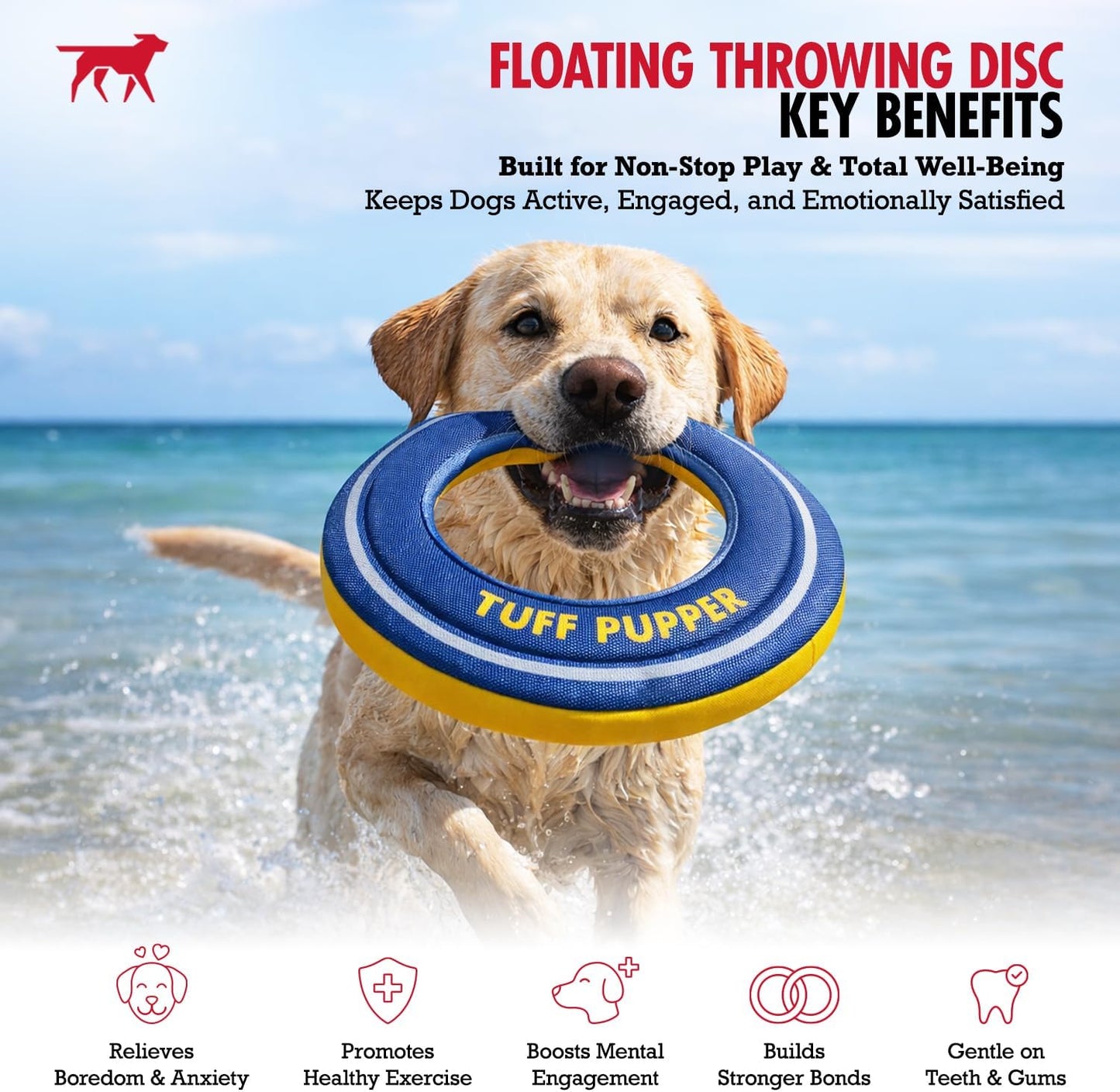 Juguete flotante perro frisbee espuma suave juego agua nieve