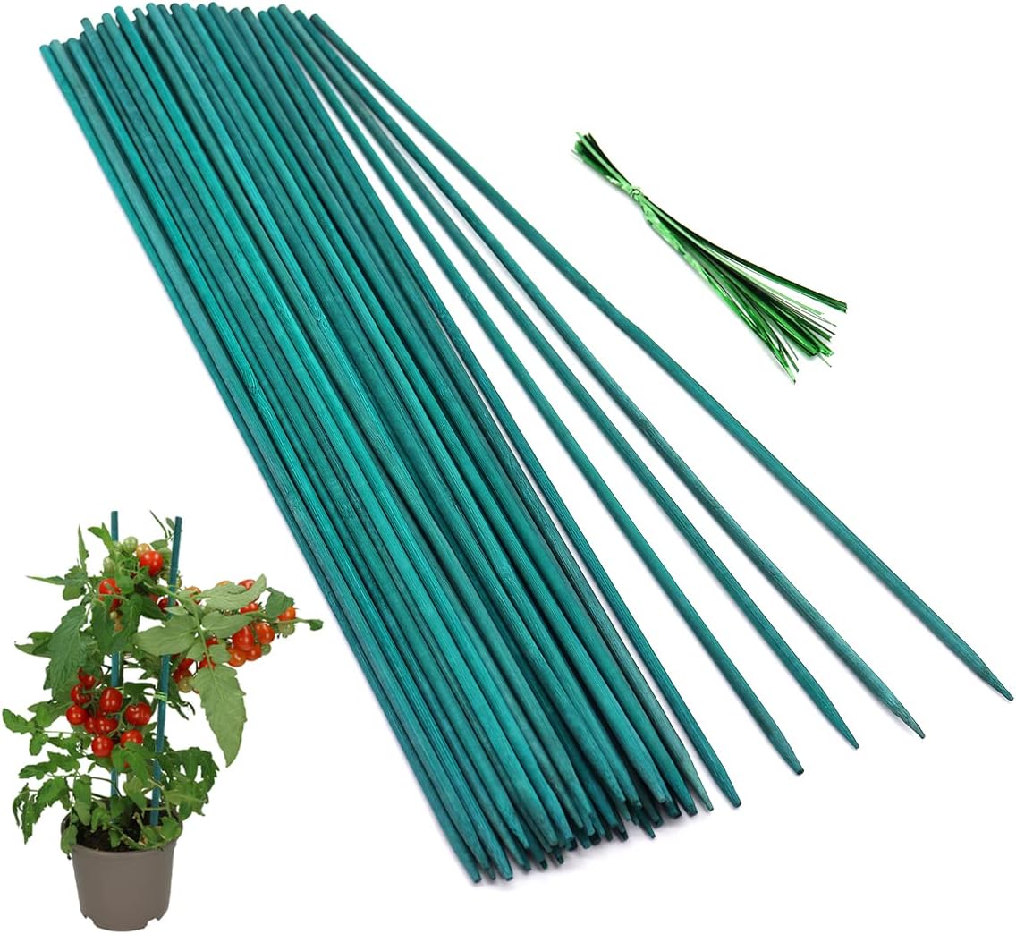 50 Pzas Estacas Verdes Bambú para Jardín Interior y Exterior