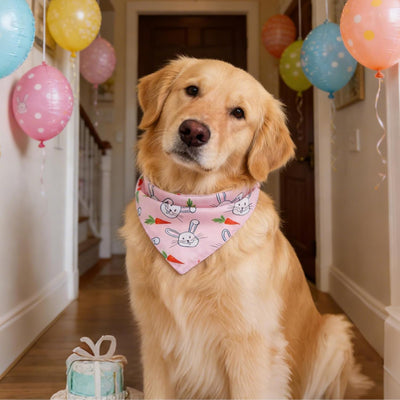 Bandanas Pascua perro 4 pzas baberos reversibles fiesta mascotas