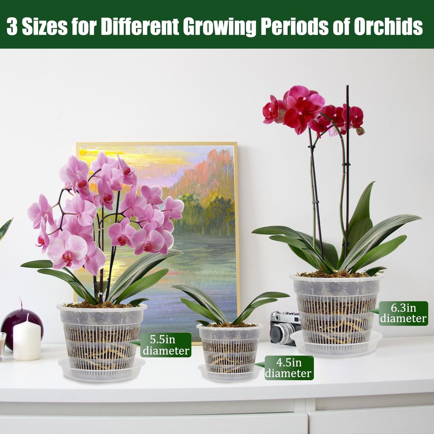 Pack 12 Macetas Orquídea 4.5-6.3pulg Plástico con Agujeros