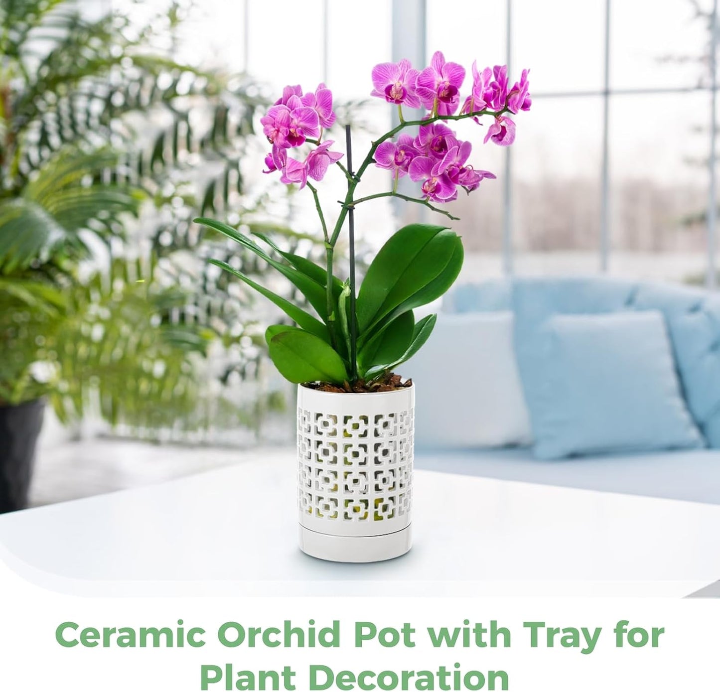 Maceta cerámica orquídeas con bandeja transpirable interior