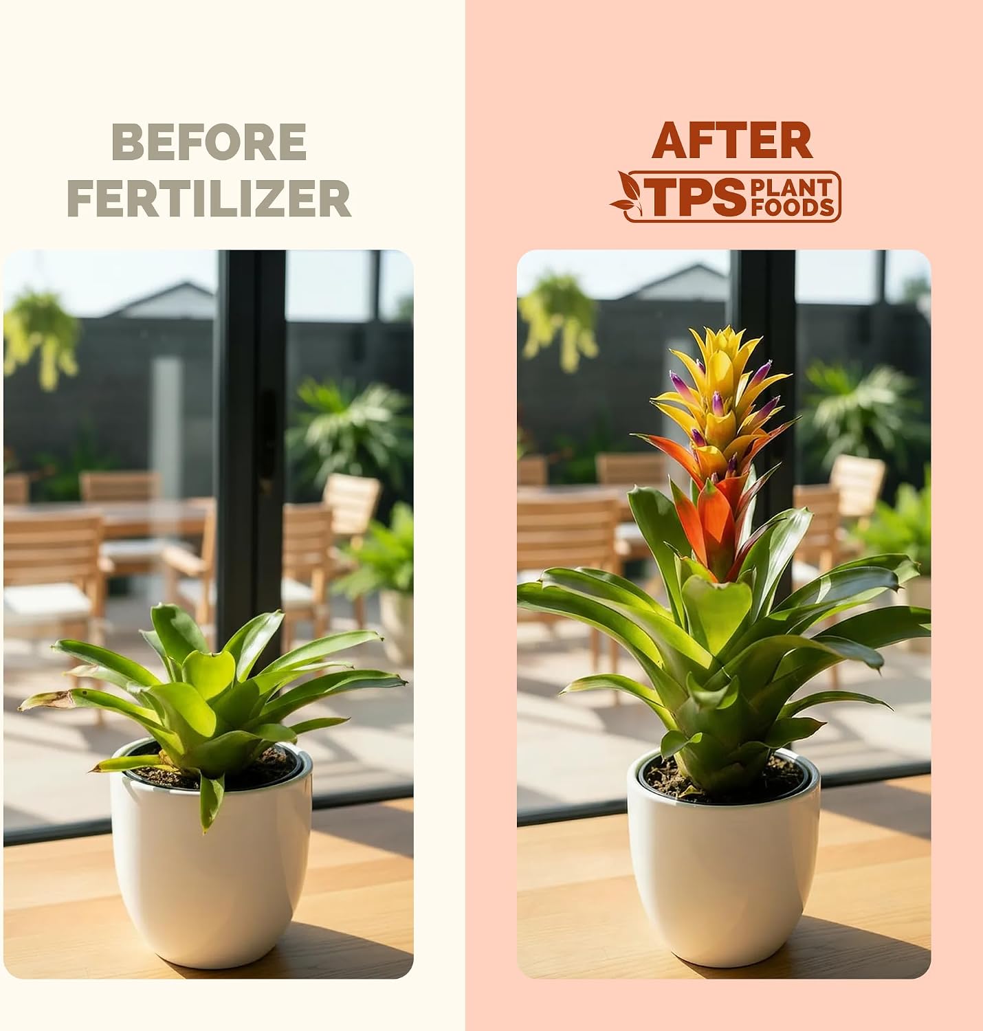 Fertilizante líquido bromelia para plantas 8oz