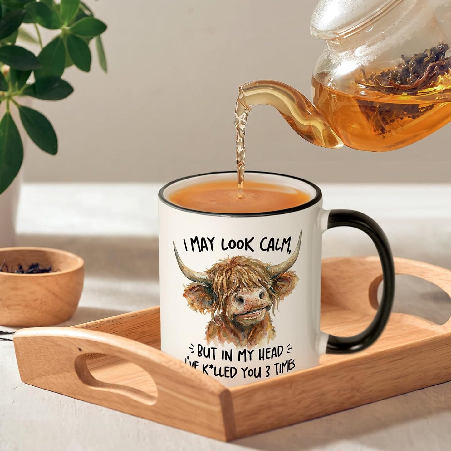 Taza divertida de vaca de las tierras altas 11 oz regalo humor sarcástico