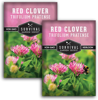 Semilla trébol rojo 2 paquetes con instrucciones para jardín
