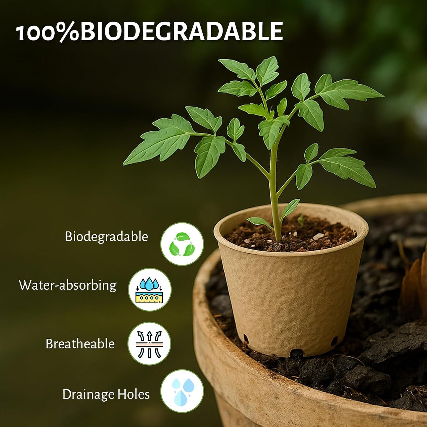 120 Macetas Turba 3.15pulg Biodegradables con Orificios Drenaje