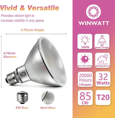Bombilla LED PAR38 vidrio 5500K