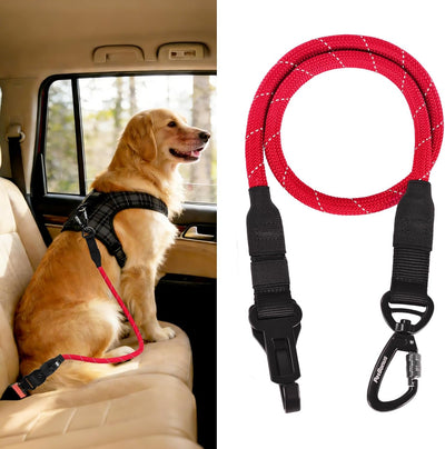 Cinturón seguridad perro automóvil cuerda duradera