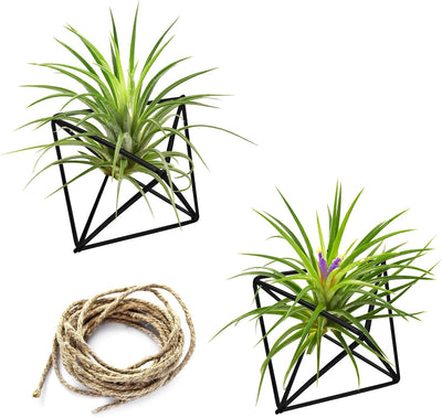 Soportes colgantes para plantas 2 perchas metal geométrica