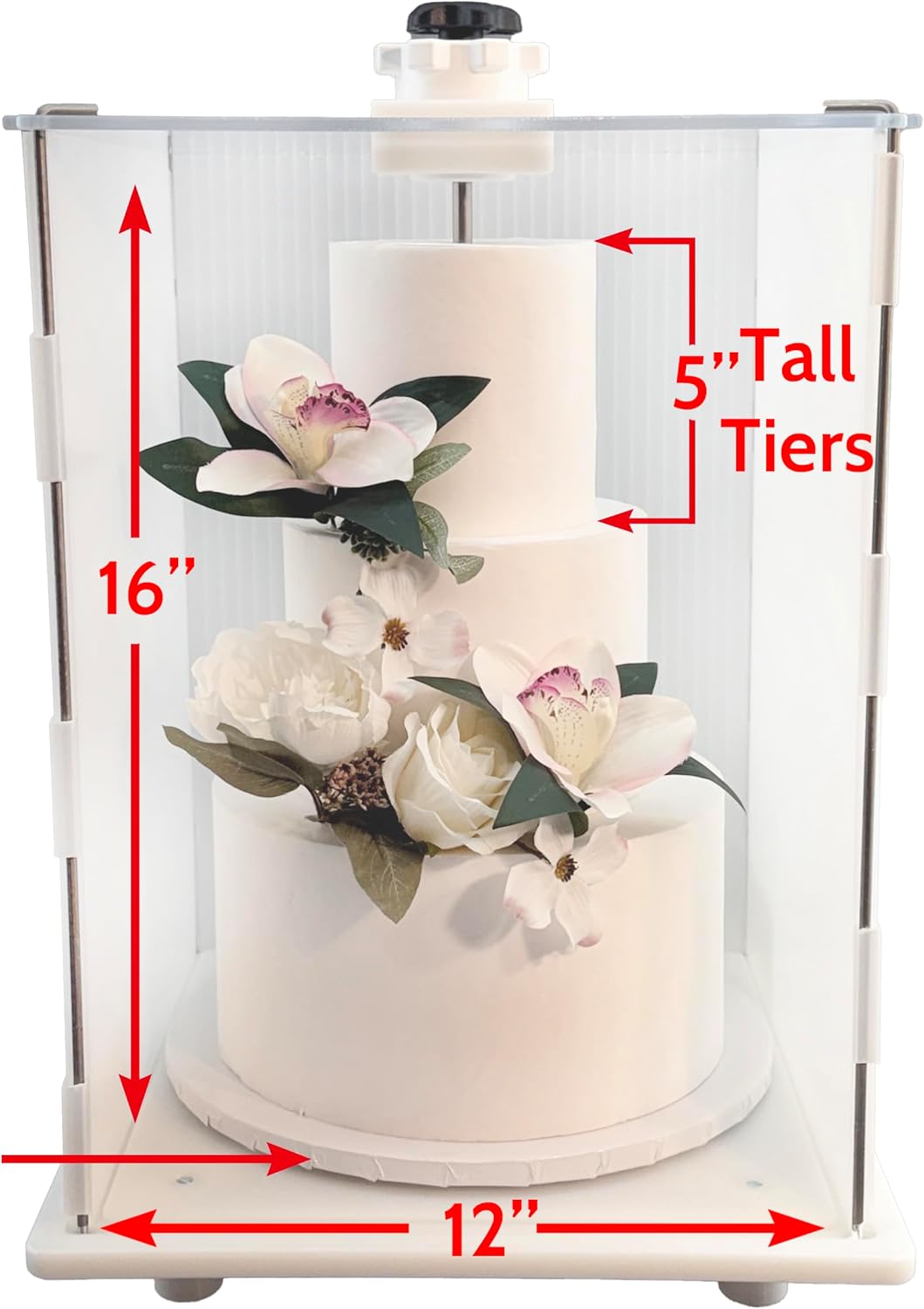 Transportador pasteles Itsy Tall reutiliz. plástico 12x16pulg