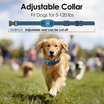 Collar entrenamiento perros 4200 pies control remoto IPX8