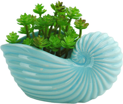 Maceta cerámica suculentas 5pulg forma caracola azul cielo