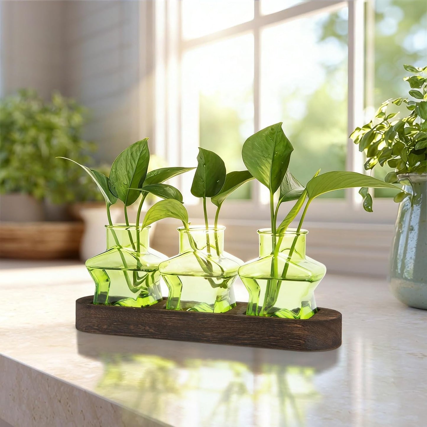 Soporte propagación plantas madera jarrones macetas