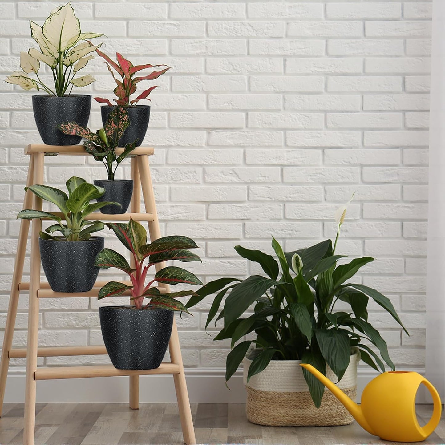 5 Macetas Decorativas con Drenaje para Plantas Interiores