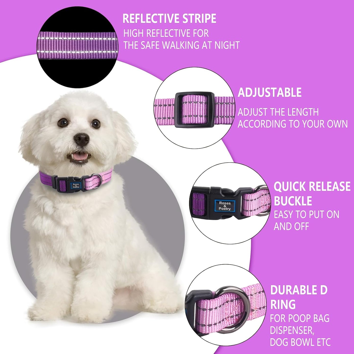 Juego collar y correa perro ajustable reflectante morado