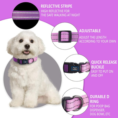 Juego collar y correa perro ajustable reflectante morado