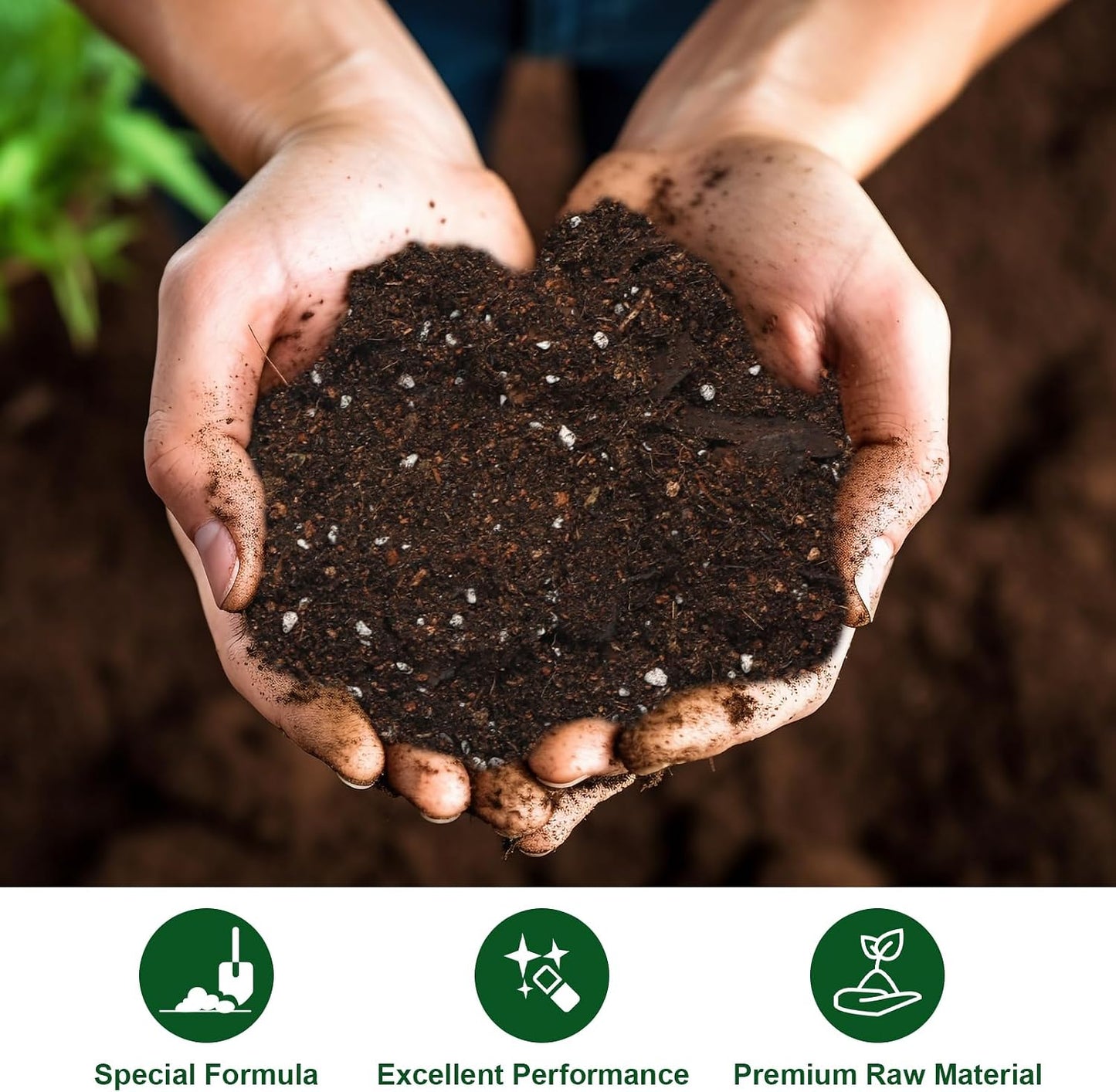 Suelo natural para anturio y plantas interior 2qt drenaje mejorado