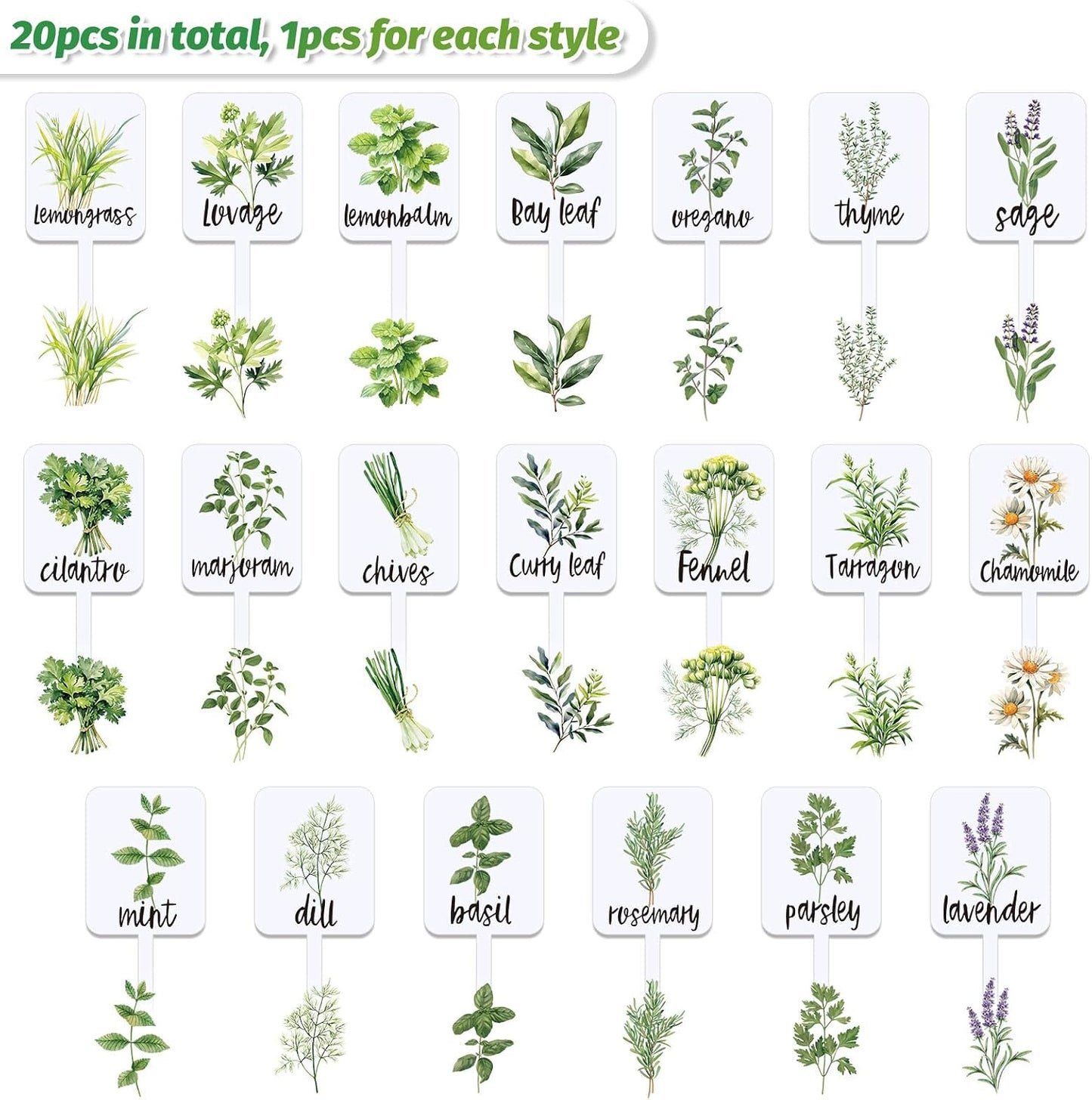 20 Etiquetas Acrílicas para Plantas con Nombres de Hierbas