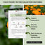 Semillas caléndula para jardín doméstico 4
