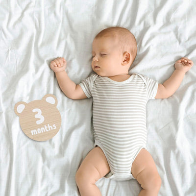 Accesorios fotos hitos bebé tema oso peluche 1-12 meses