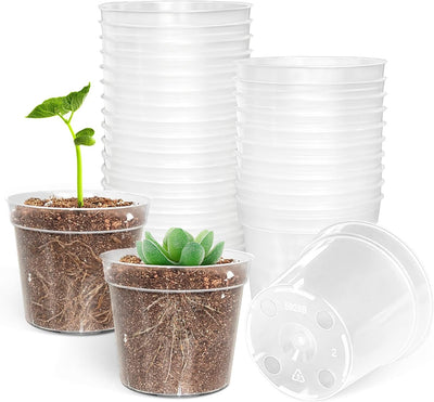 50 Macetas Plástico Resistente 2.5pulg para Plantas