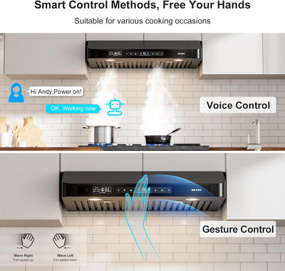 Campana extractora 30pulg control vocal 900CFM acero inox LED