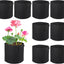 Macetas lirio estanque 2gal