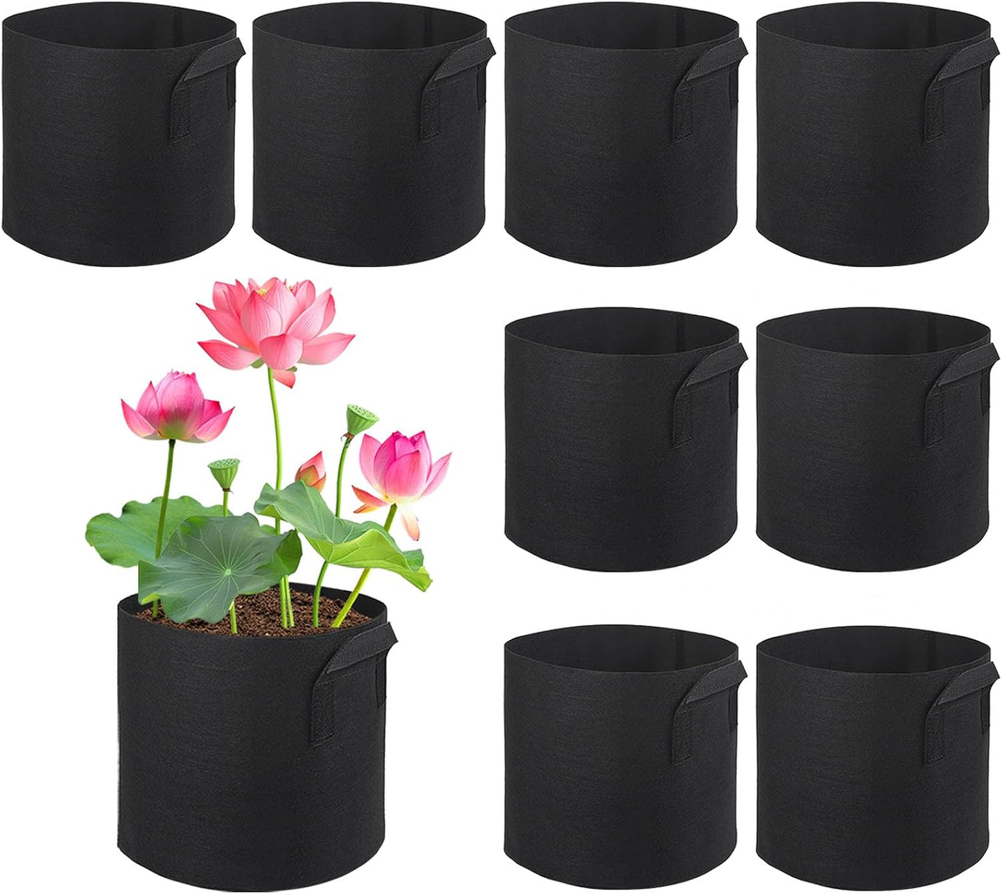 Macetas lirio estanque 2gal