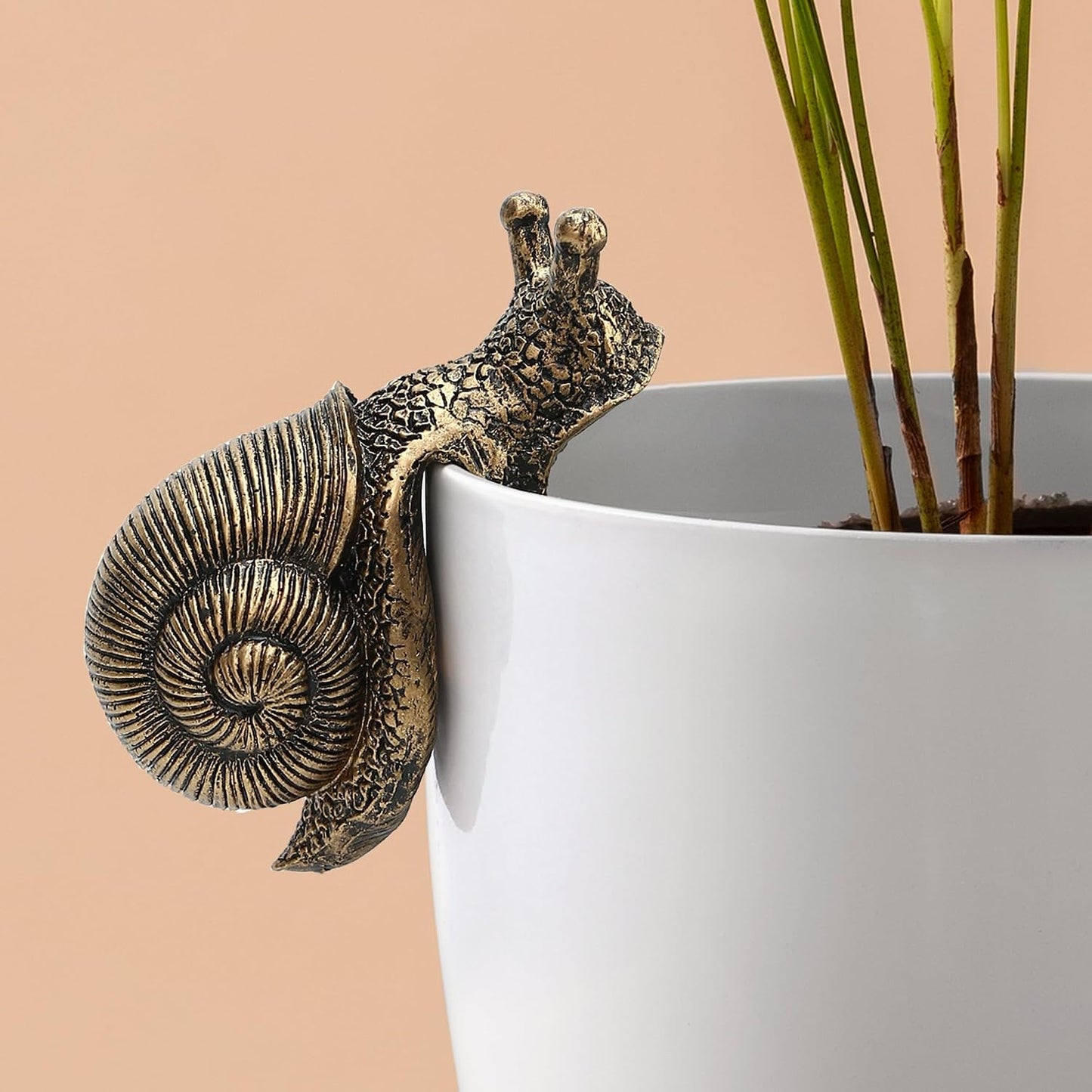 Figurita resina caracol abrazadera maceta jarron mini terrario