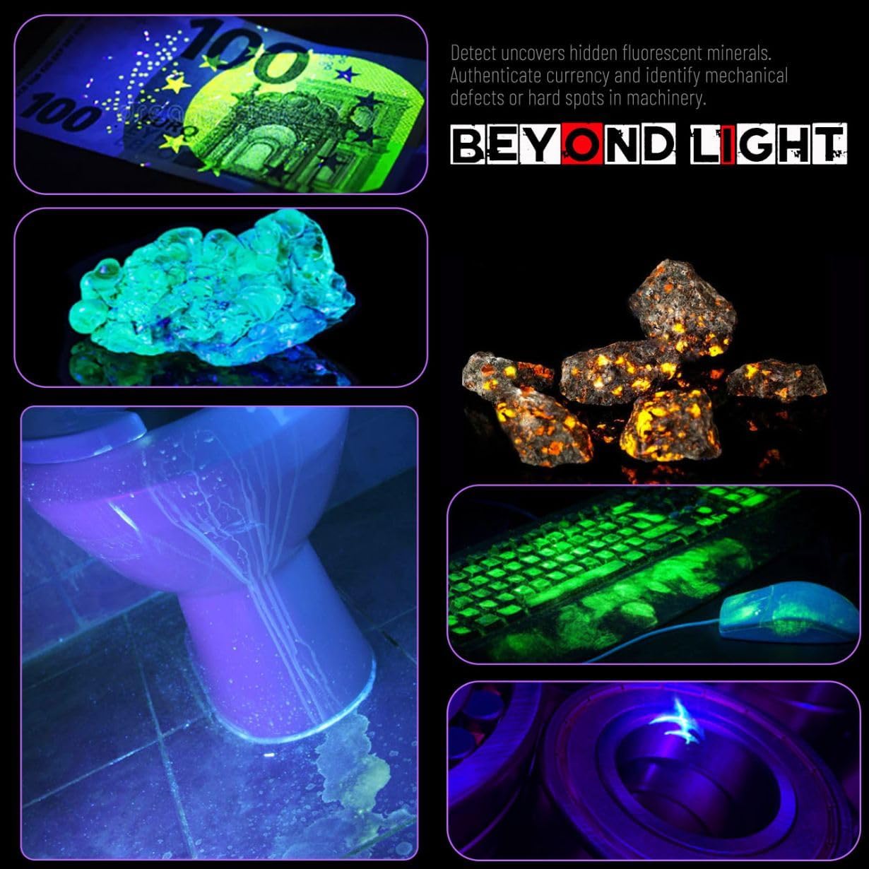 Linterna UV 365nm 4 núcleos recargable para mascotas y caza