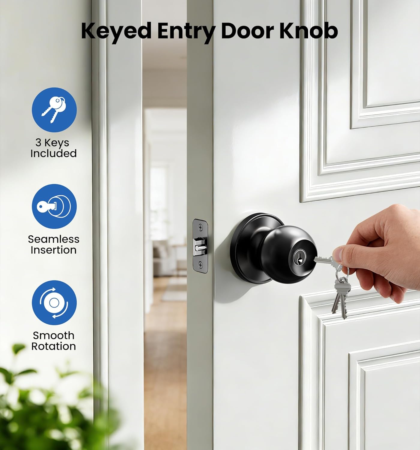 Pomo puerta con llave negro mate resistente seguridad