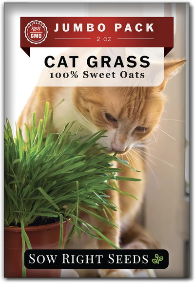 Semillas hierba gato a granel 2oz 1900 semillas paq jumbo
