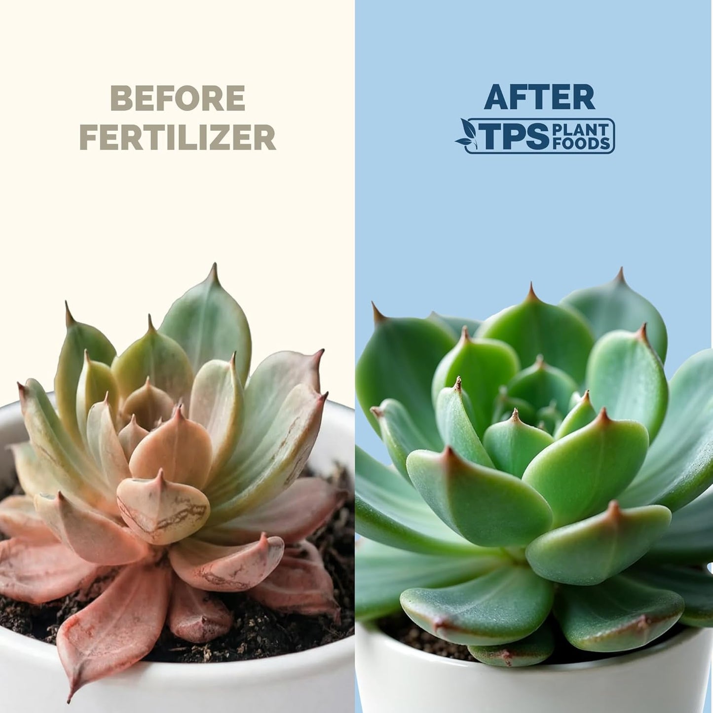 Fertilizante líquido para suculentas cactus jade aloe 8oz