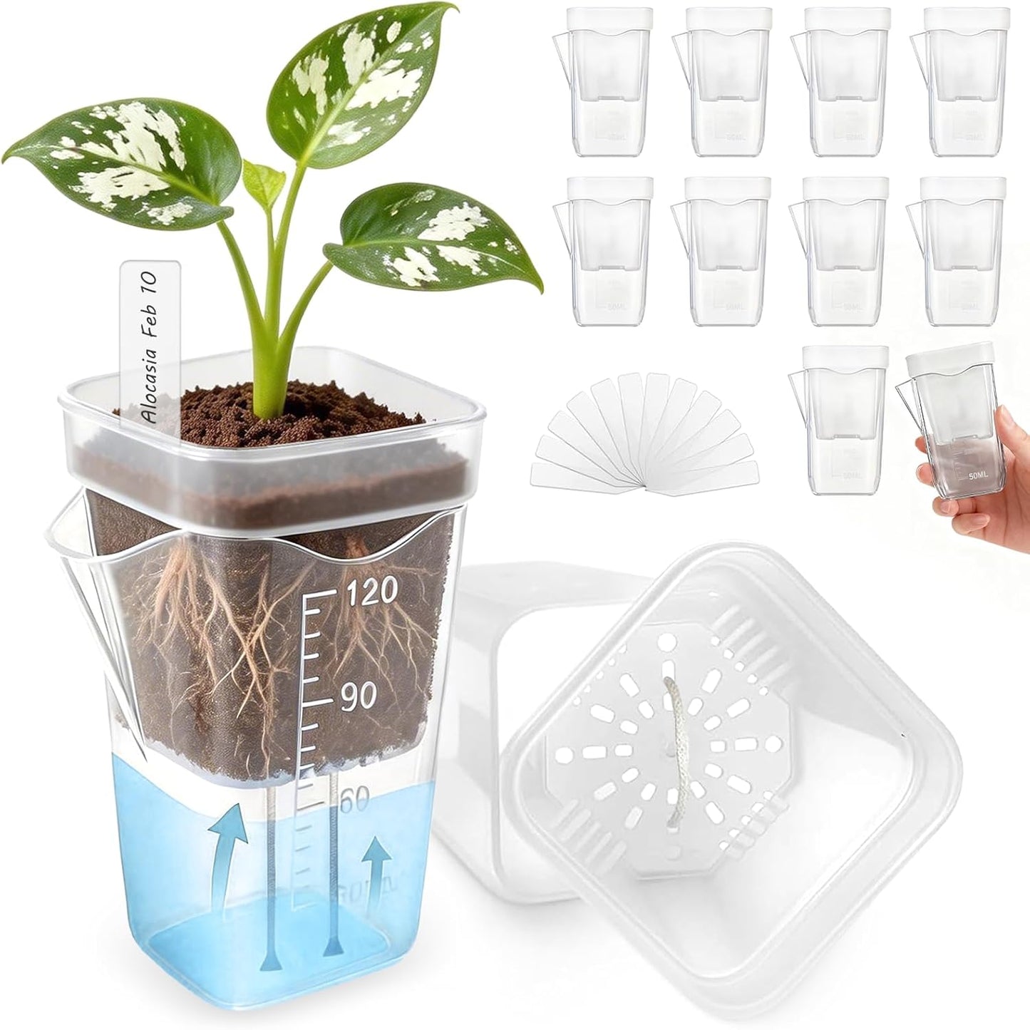 10 Macetas Plástico Transparente Riego Automático 2pulg Interior