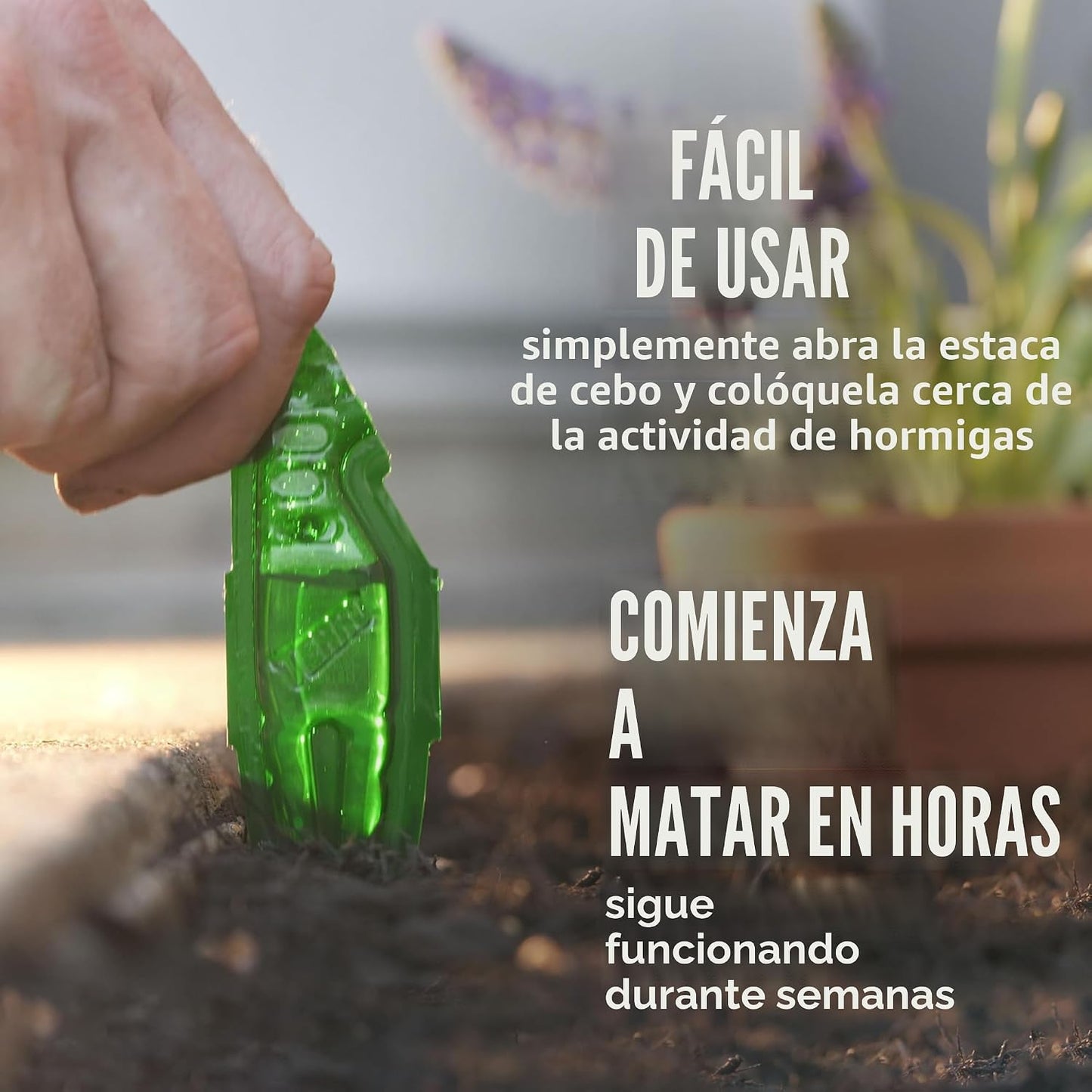 Cebo liquido para hormigas TERRO 12 estacas exteriores