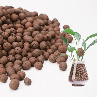Guijarros LECA 2.5lb para plantas drenaje hidroponía