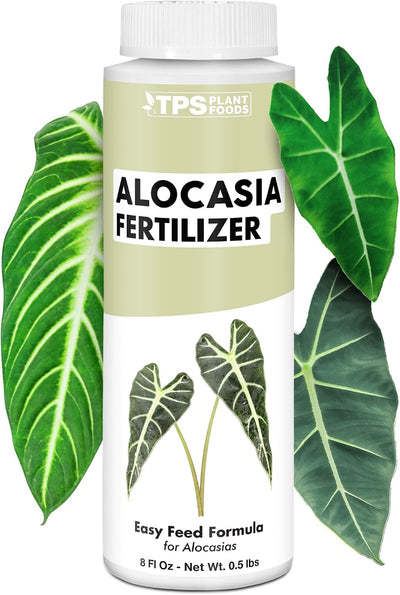 Fertilizante líquido Alocasia hojas grandes 8oz