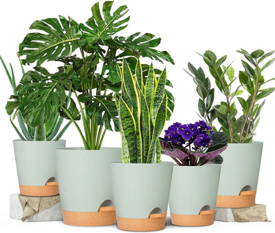 Macetas plástico autoriego 5.5-7pulg violeta africana