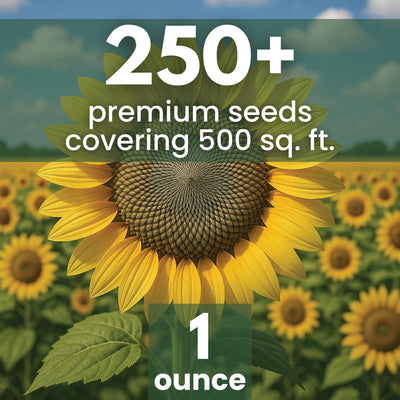 Girasol rayas grises 250 semillas 1oz temporada 2026