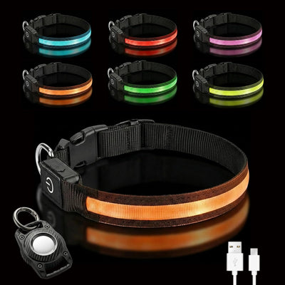 Collar perro LED recargable 6 colores 13 modos