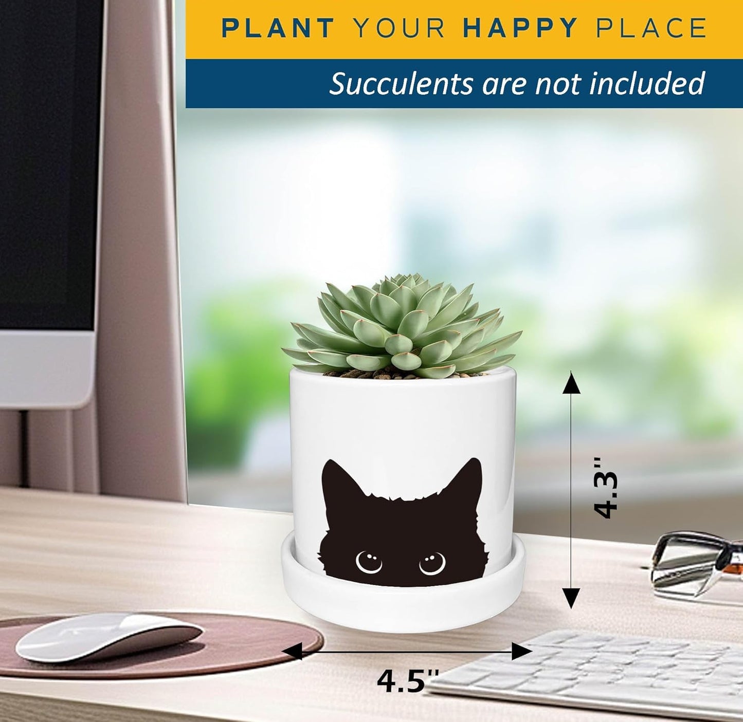 Maceta cerámica gato negro 4.3pulg con drenaje y bandeja