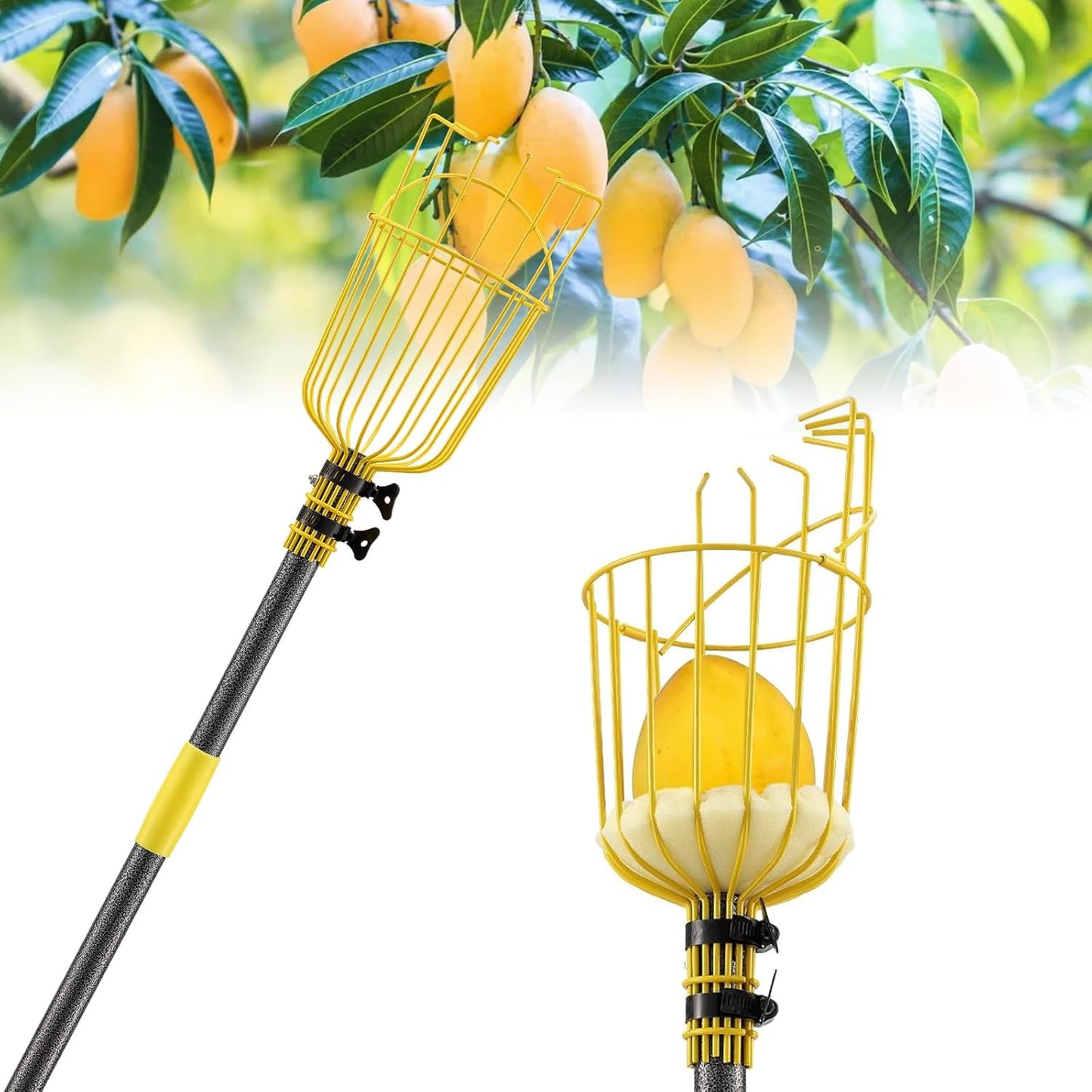 Recolector frutas 66pulg cesta poste ajustable agarre