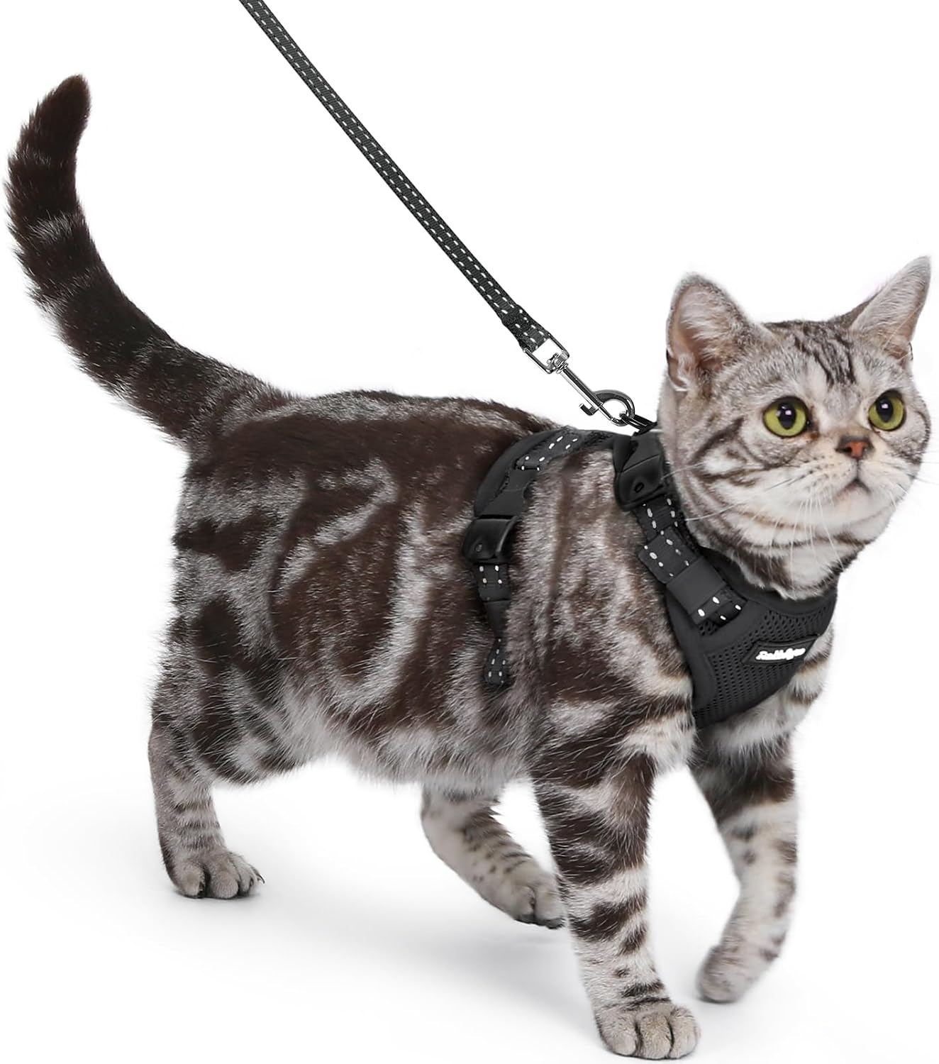 Arnés gato suave con 3 hebillas ajustables negro