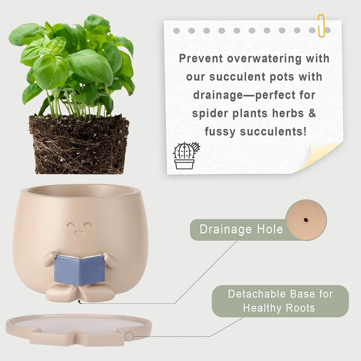 Maceta de Libro con Drenaje para Suculentas y Plantas
