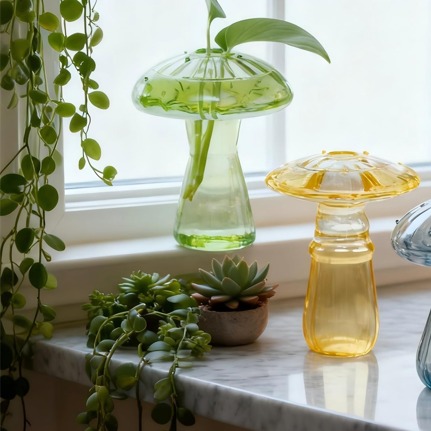 6 Jarrones Vidrio Propagación Plantas Decoración Otoño