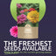 Paquete 2oz 4000 semillas flores State Fair Mix