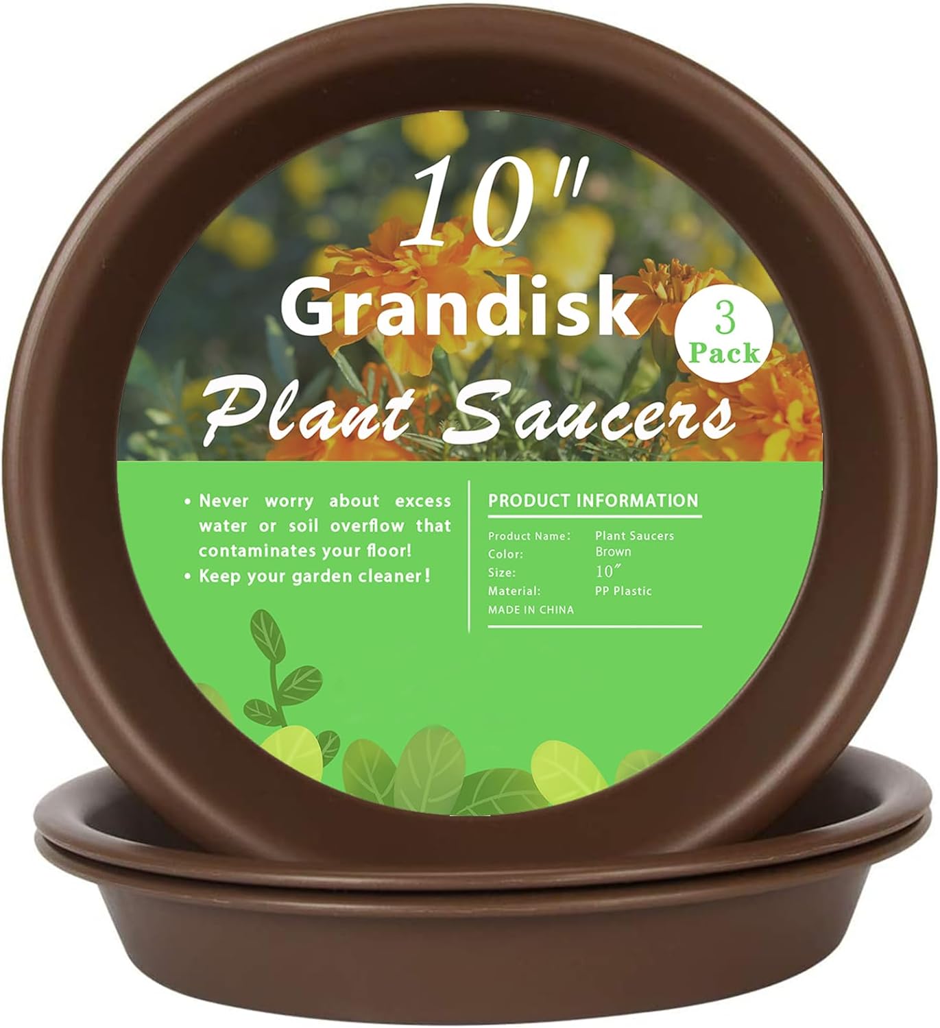 Plato para planta