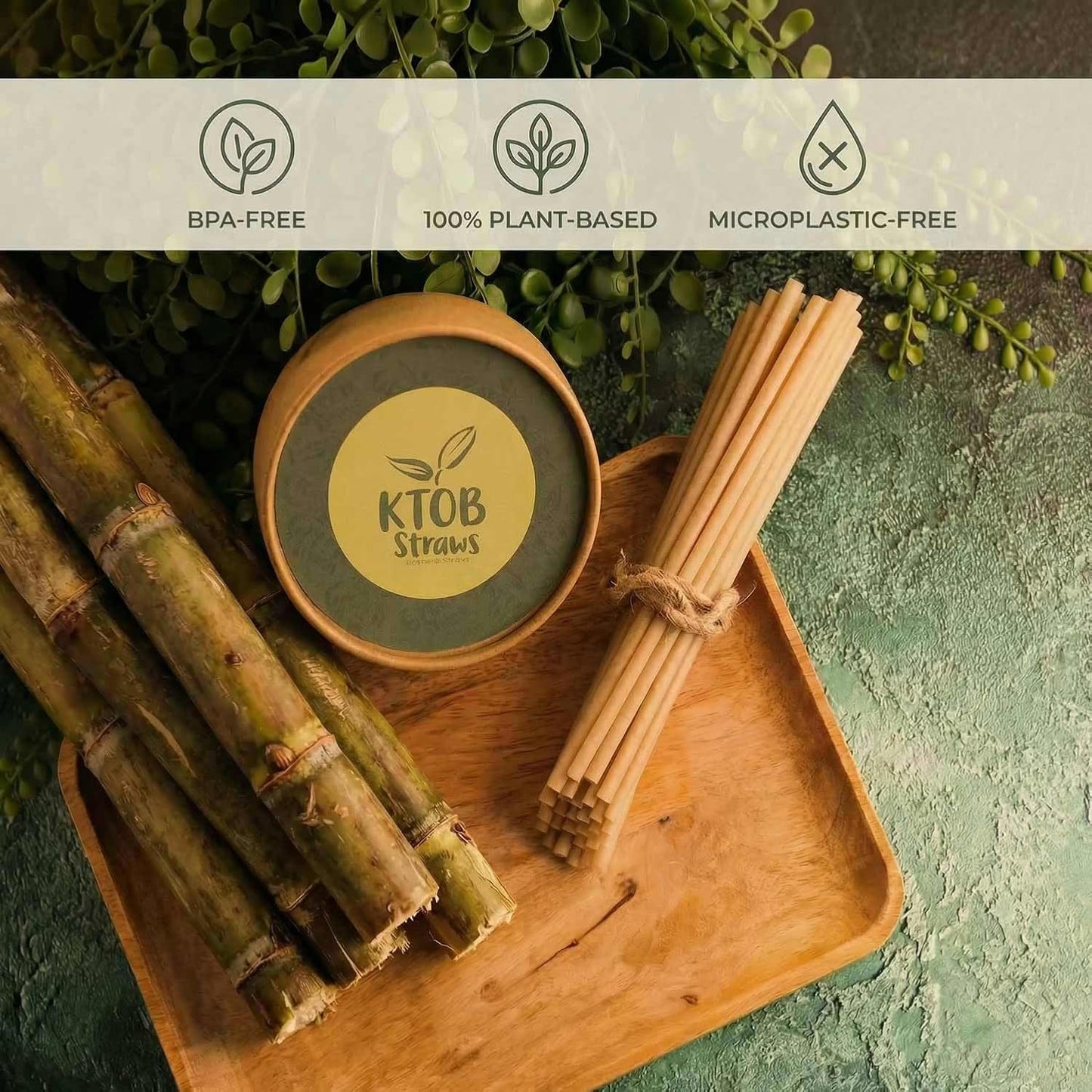 Agitadores de café de caña de azúcar compostables 200 unidades